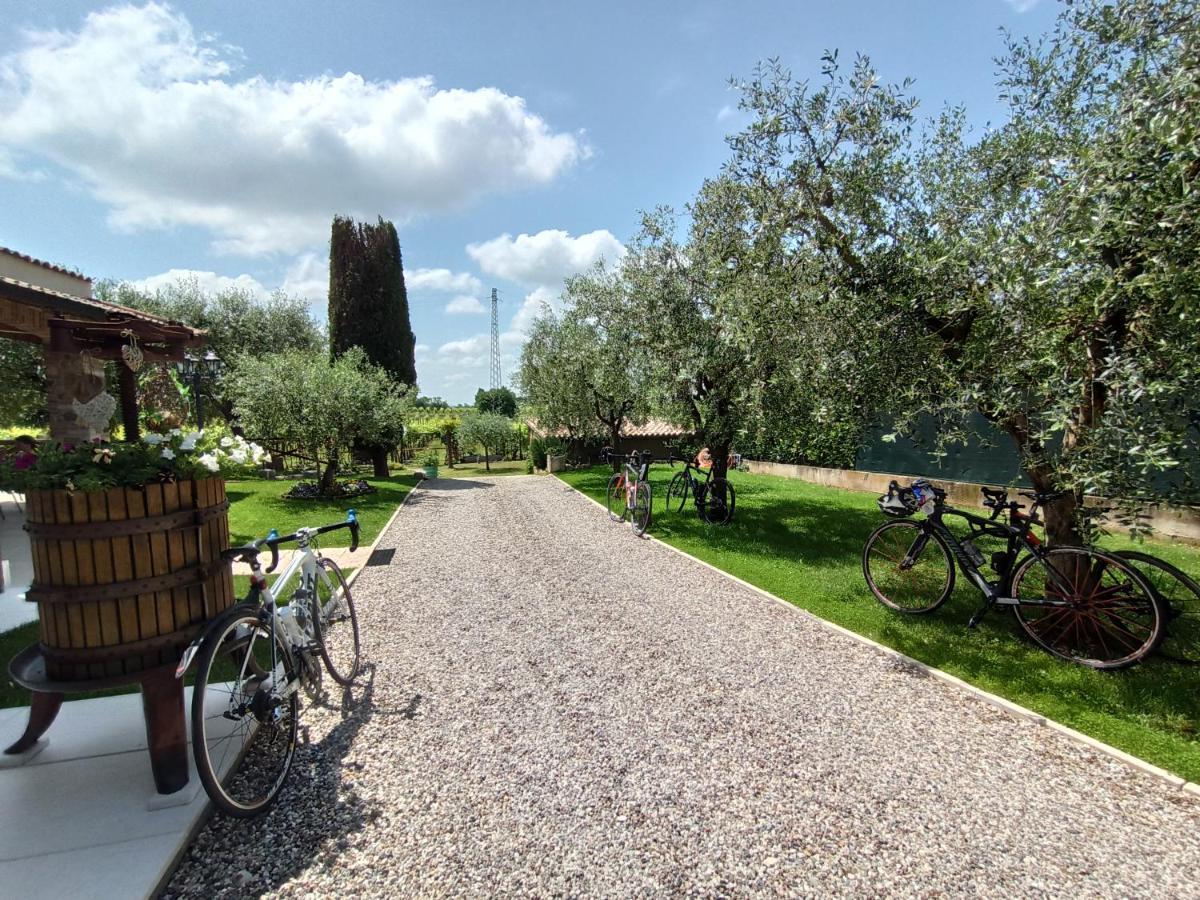Le Zampolle B & B Cola  Bagian luar foto