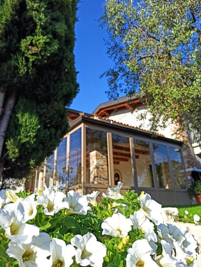 Le Zampolle B & B Cola  Bagian luar foto