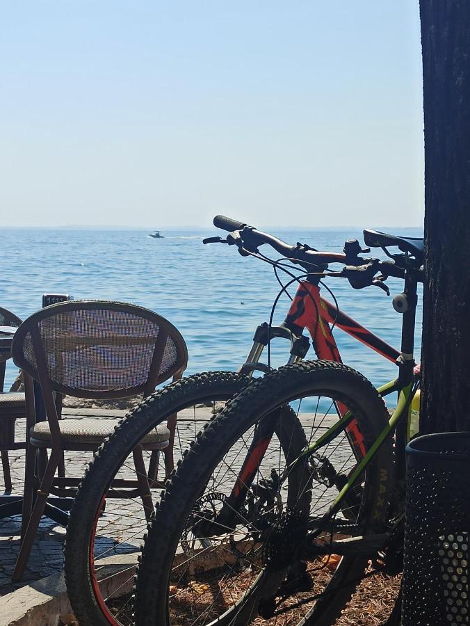 Le Zampolle B & B Cola  Bagian luar foto