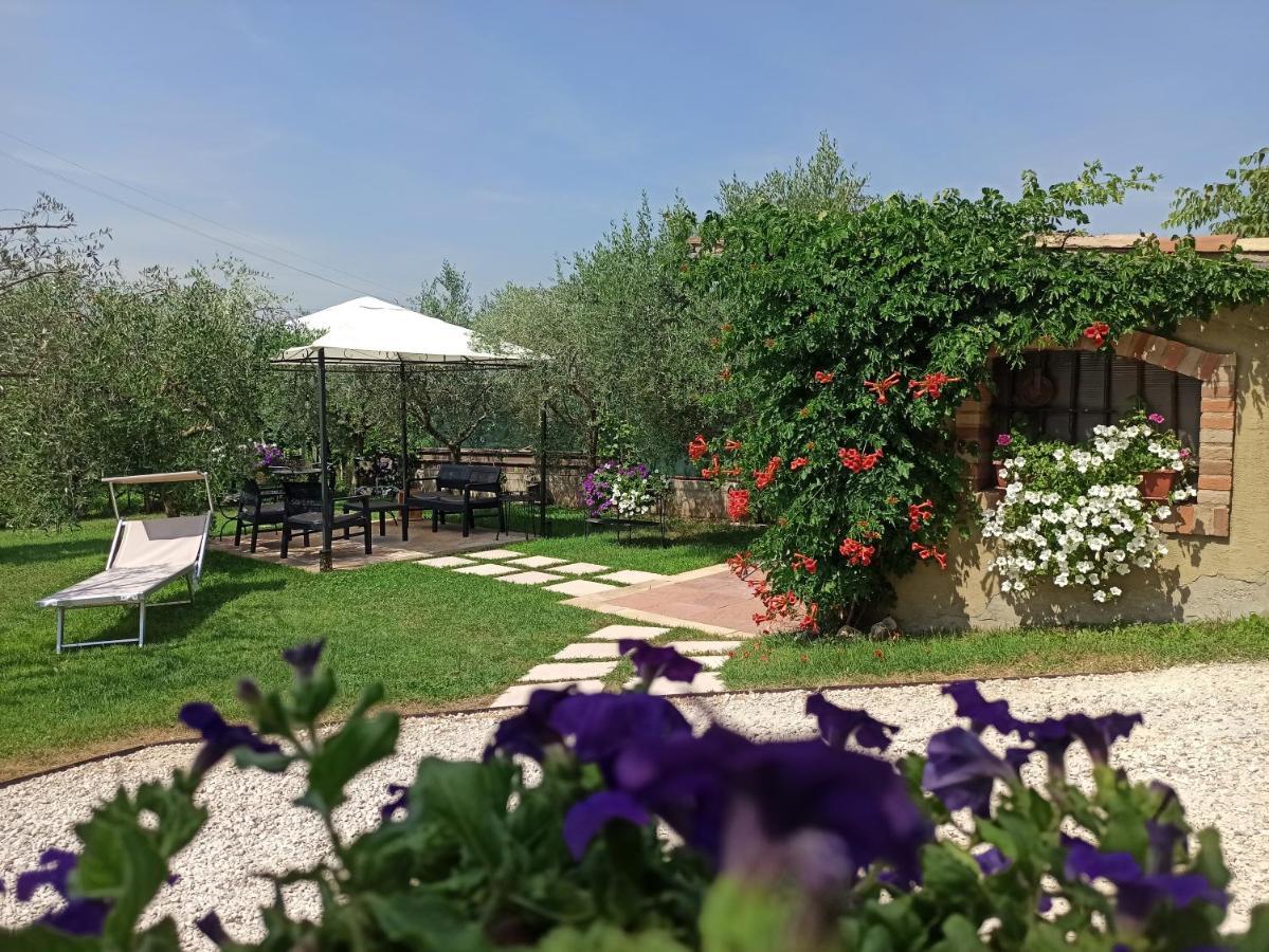 Le Zampolle B & B Cola  Bagian luar foto